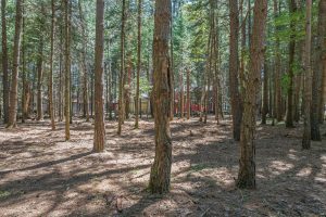 1 Gehrke Rd, , Woodruff,  WI 54568 USA