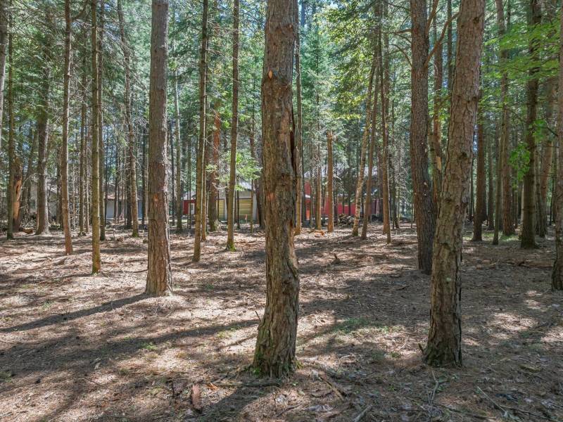 1 Gehrke Rd, , Woodruff,  WI 54568 USA