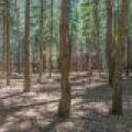 1 Gehrke Rd, , Woodruff,  WI 54568 USA