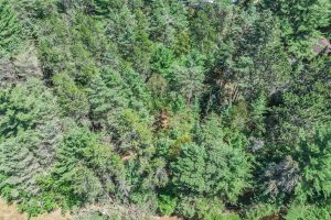 1 Gehrke Rd, , Woodruff,  WI 54568 USA