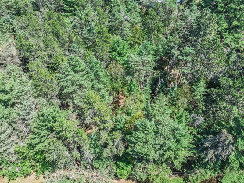 1 Gehrke Rd, , Woodruff,  WI 54568 USA