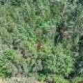1 Gehrke Rd, , Woodruff,  WI 54568 USA