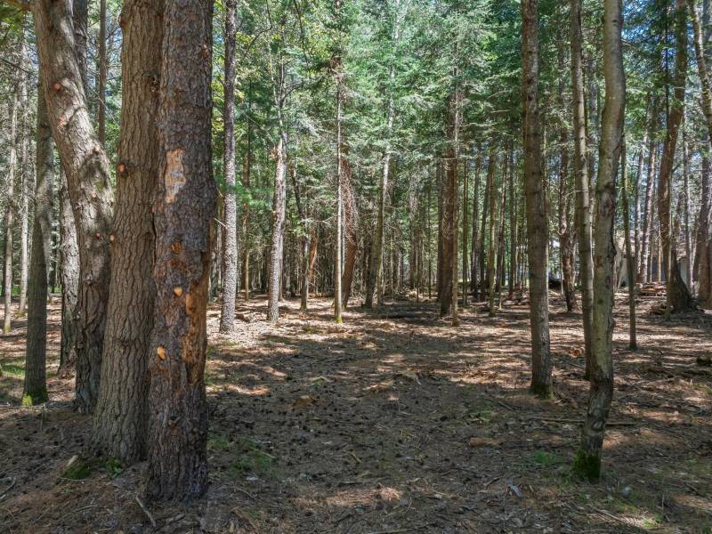 1 Gehrke Rd, , Woodruff,  WI 54568 USA