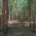 1 Gehrke Rd, , Woodruff,  WI 54568 USA