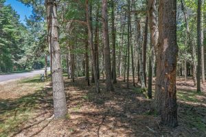1 Gehrke Rd, , Woodruff,  WI 54568 USA