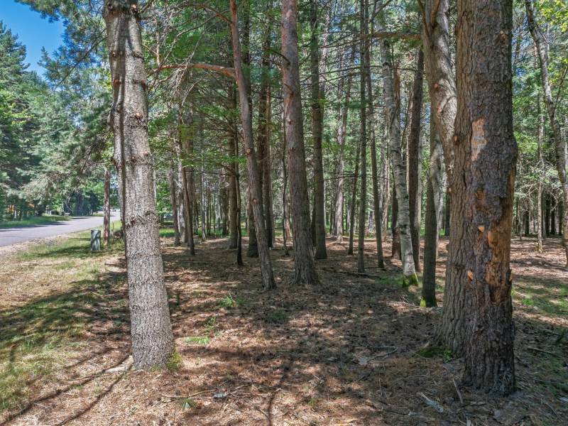 1 Gehrke Rd, , Woodruff,  WI 54568 USA