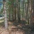 1 Gehrke Rd, , Woodruff,  WI 54568 USA