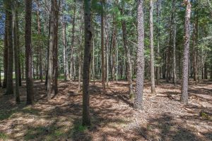 1 Gehrke Rd, , Woodruff,  WI 54568 USA