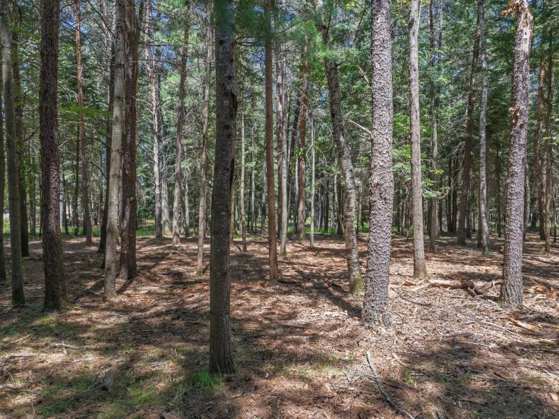 1 Gehrke Rd, , Woodruff,  WI 54568 USA