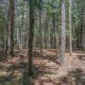 1 Gehrke Rd, , Woodruff,  WI 54568 USA
