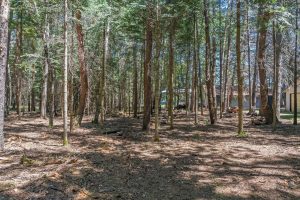1 Gehrke Rd, , Woodruff,  WI 54568 USA
