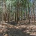 1 Gehrke Rd, , Woodruff,  WI 54568 USA