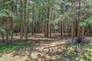 1 Gehrke Rd, , Woodruff,  WI 54568 USA