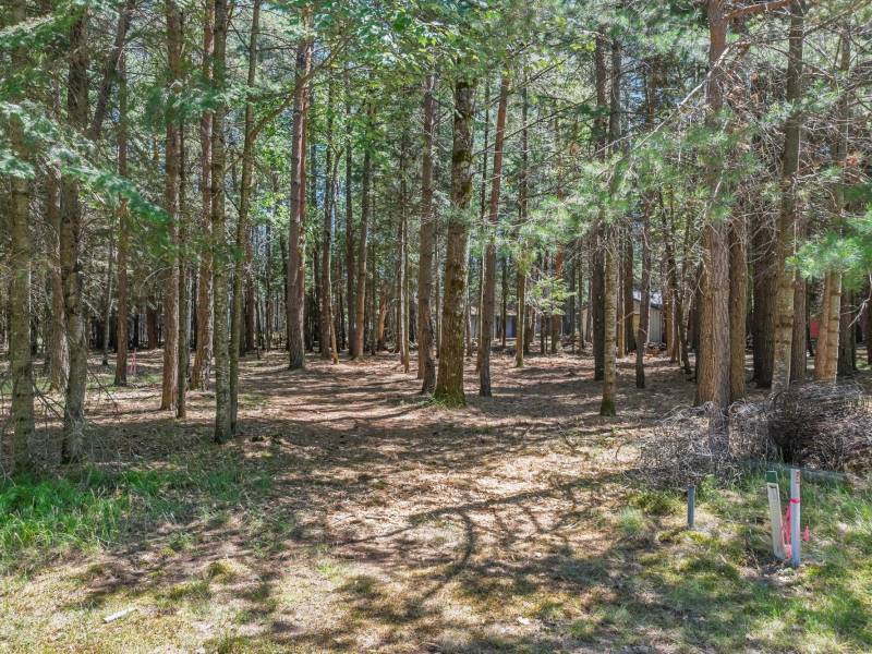 1 Gehrke Rd, , Woodruff,  WI 54568 USA