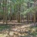 1 Gehrke Rd, , Woodruff,  WI 54568 USA