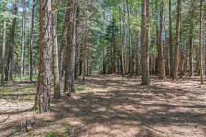 1 Gehrke Rd, , Woodruff,  WI 54568 USA