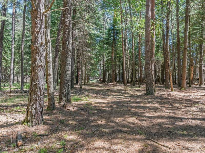 1 Gehrke Rd, , Woodruff,  WI 54568 USA