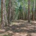 1 Gehrke Rd, , Woodruff,  WI 54568 USA