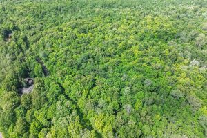Lot 2 CTH B, , Presque Isle,  WI 54557 USA
