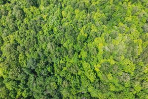 Lot 2 CTH B, , Presque Isle,  WI 54557 USA