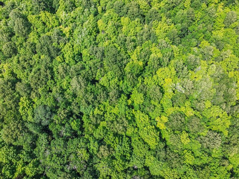 Lot 2 CTH B, , Presque Isle,  WI 54557 USA
