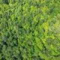 Lot 2 CTH B, , Presque Isle,  WI 54557 USA