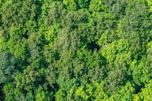 Lot 2 CTH B, , Presque Isle,  WI 54557 USA