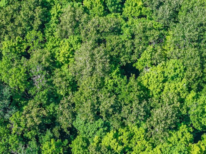 Lot 2 CTH B, , Presque Isle,  WI 54557 USA