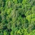 Lot 2 CTH B, , Presque Isle,  WI 54557 USA
