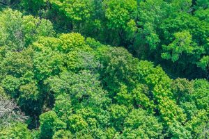 Lot 2 CTH B, , Presque Isle,  WI 54557 USA