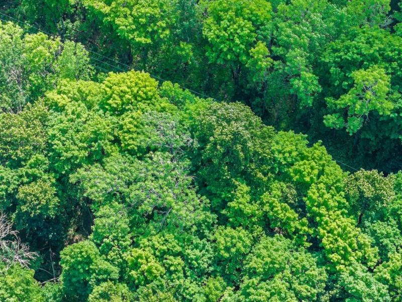 Lot 2 CTH B, , Presque Isle,  WI 54557 USA