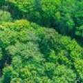 Lot 2 CTH B, , Presque Isle,  WI 54557 USA