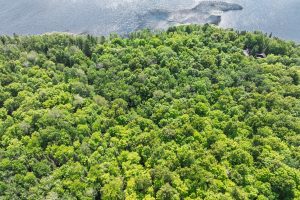 Lot 2 CTH B, , Presque Isle,  WI 54557 USA