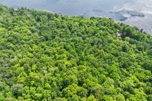 Lot 2 CTH B, , Presque Isle,  WI 54557 USA