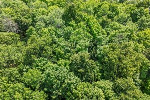 Lot 2 CTH B, , Presque Isle,  WI 54557 USA