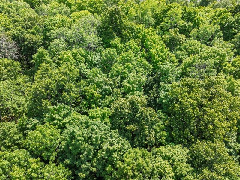 Lot 2 CTH B, , Presque Isle,  WI 54557 USA