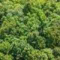 Lot 2 CTH B, , Presque Isle,  WI 54557 USA