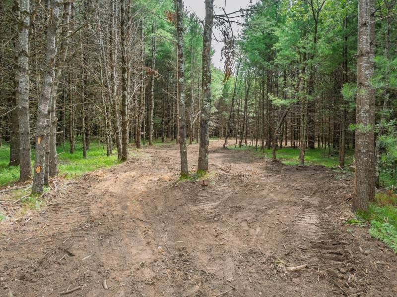 Off Church Rd #2, , Conover,  WI 54519 USA