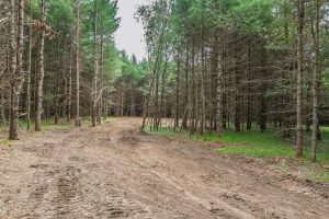 Off Church Rd #2, , Conover,  WI 54519 USA