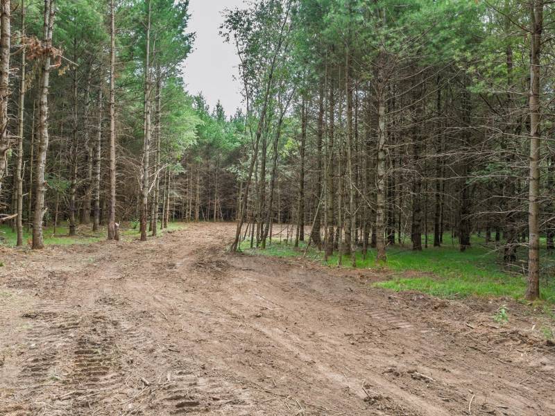 Off Church Rd #2, , Conover,  WI 54519 USA