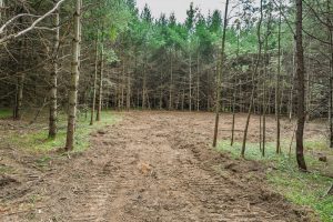 Off Church Rd #2, , Conover,  WI 54519 USA