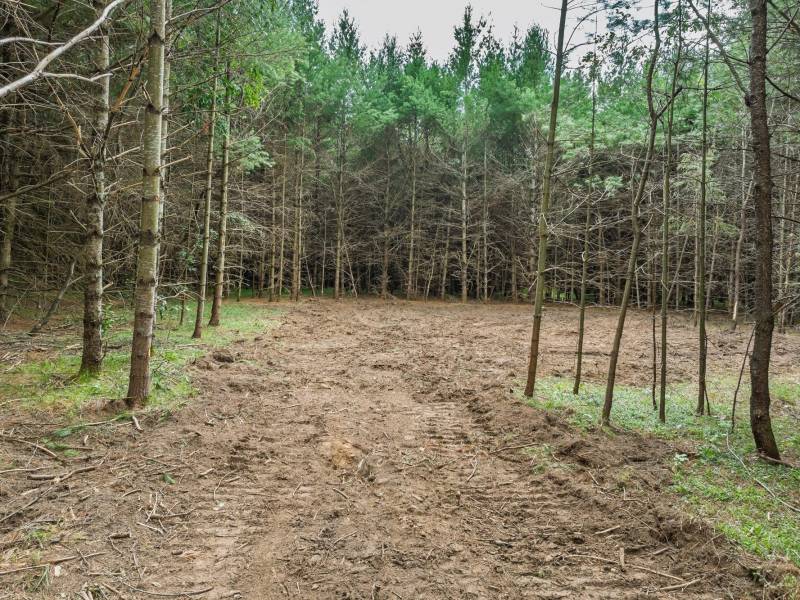 Off Church Rd #2, , Conover,  WI 54519 USA