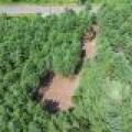 Off Church Rd #2, , Conover,  WI 54519 USA