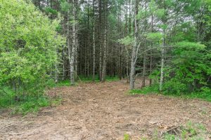 Off Church Rd #2, , Conover,  WI 54519 USA