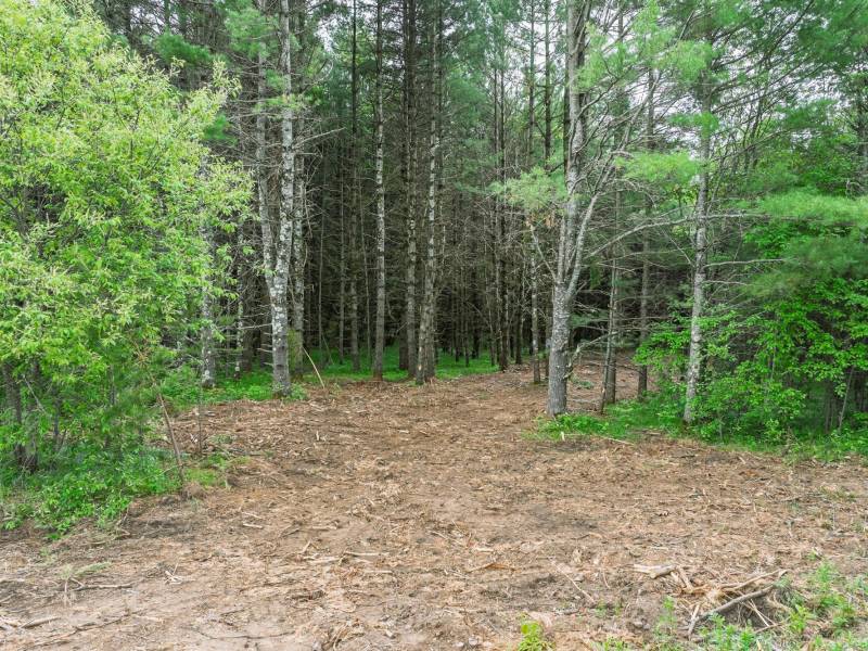 Off Church Rd #2, , Conover,  WI 54519 USA