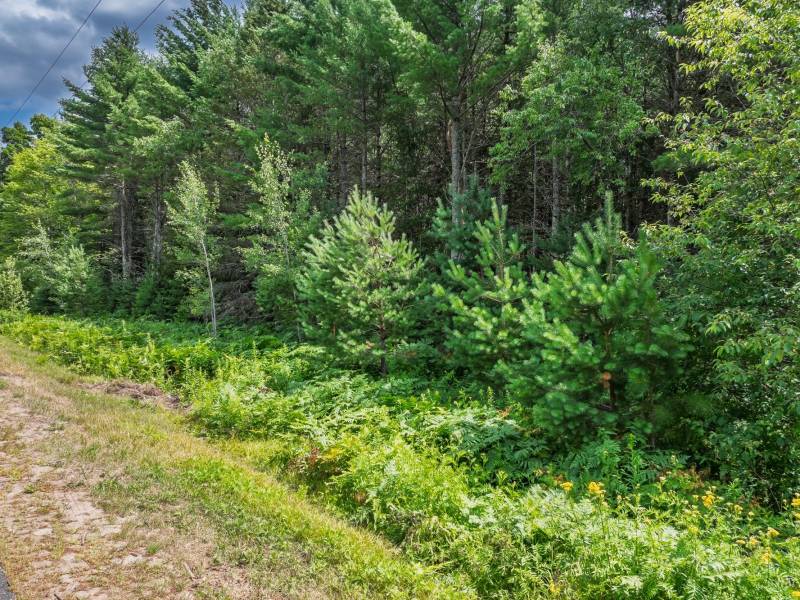 Off Church Rd #2, , Conover,  WI 54519 USA