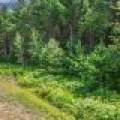Off Church Rd #2, , Conover,  WI 54519 USA