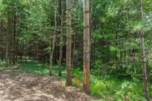 Off Church Rd #2, , Conover,  WI 54519 USA