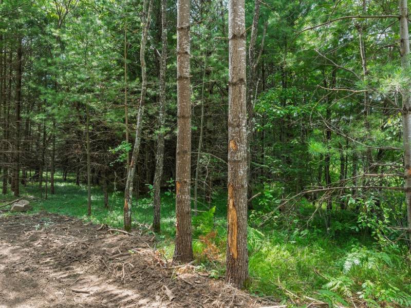 Off Church Rd #2, , Conover,  WI 54519 USA