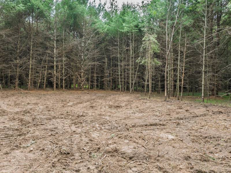Off Church Rd #2, , Conover,  WI 54519 USA